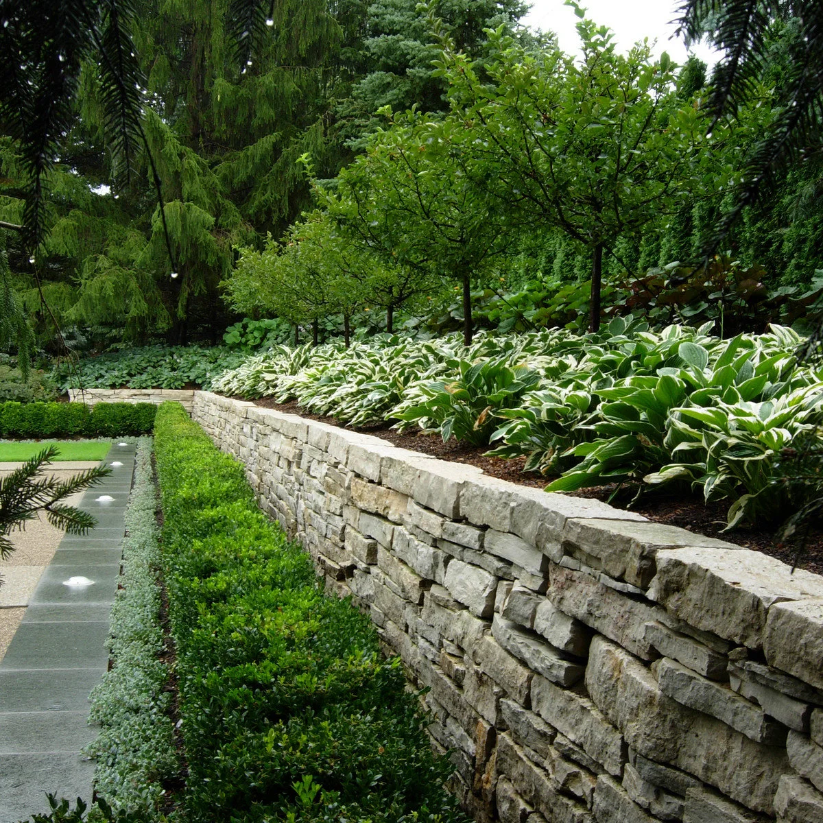 A long stacked-stone retaining wall with broad-leaved plants above and a clipped hedge below.