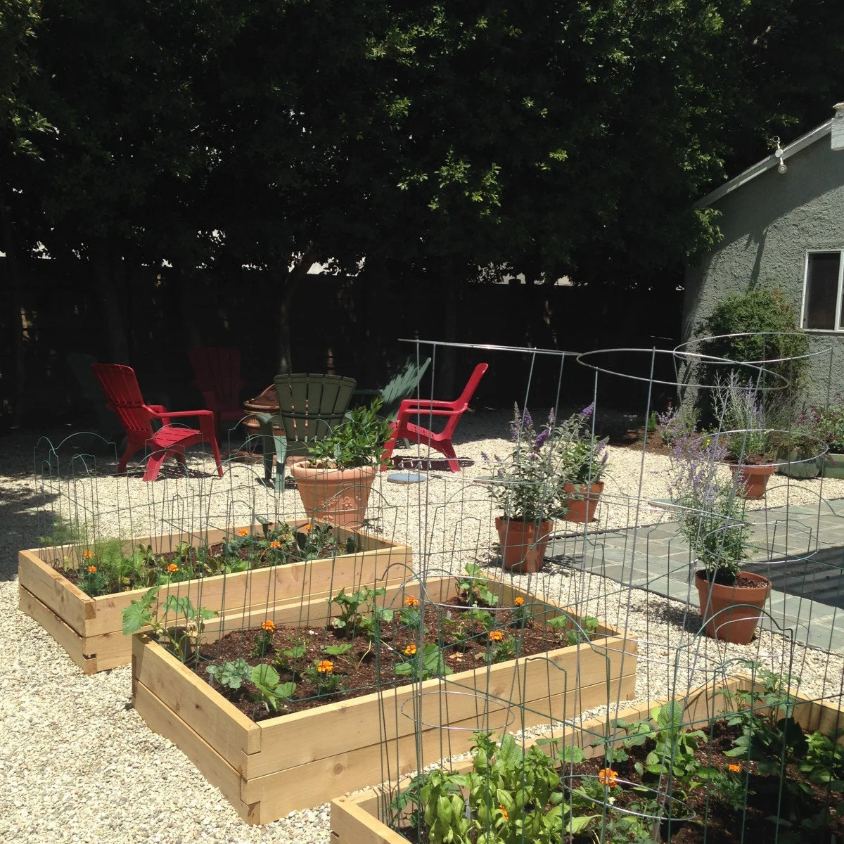Three wooden vegetable beds with wire cages and small plants beside gravel paths and colorful outdoor chairs.