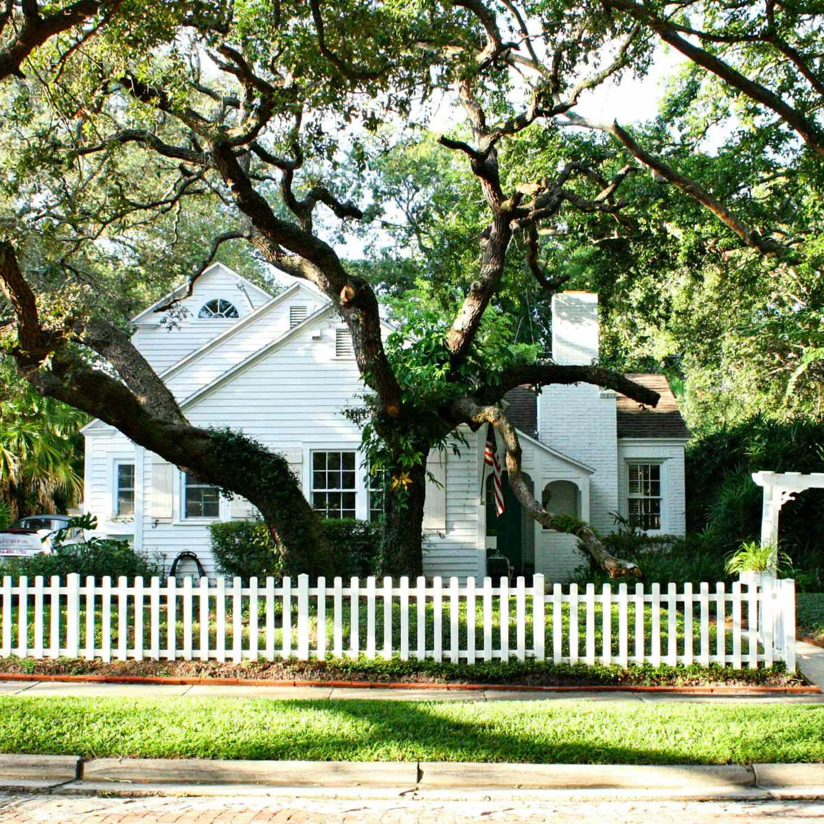 A low white picket fence across the front of a white cottage beneath large spreading trees.