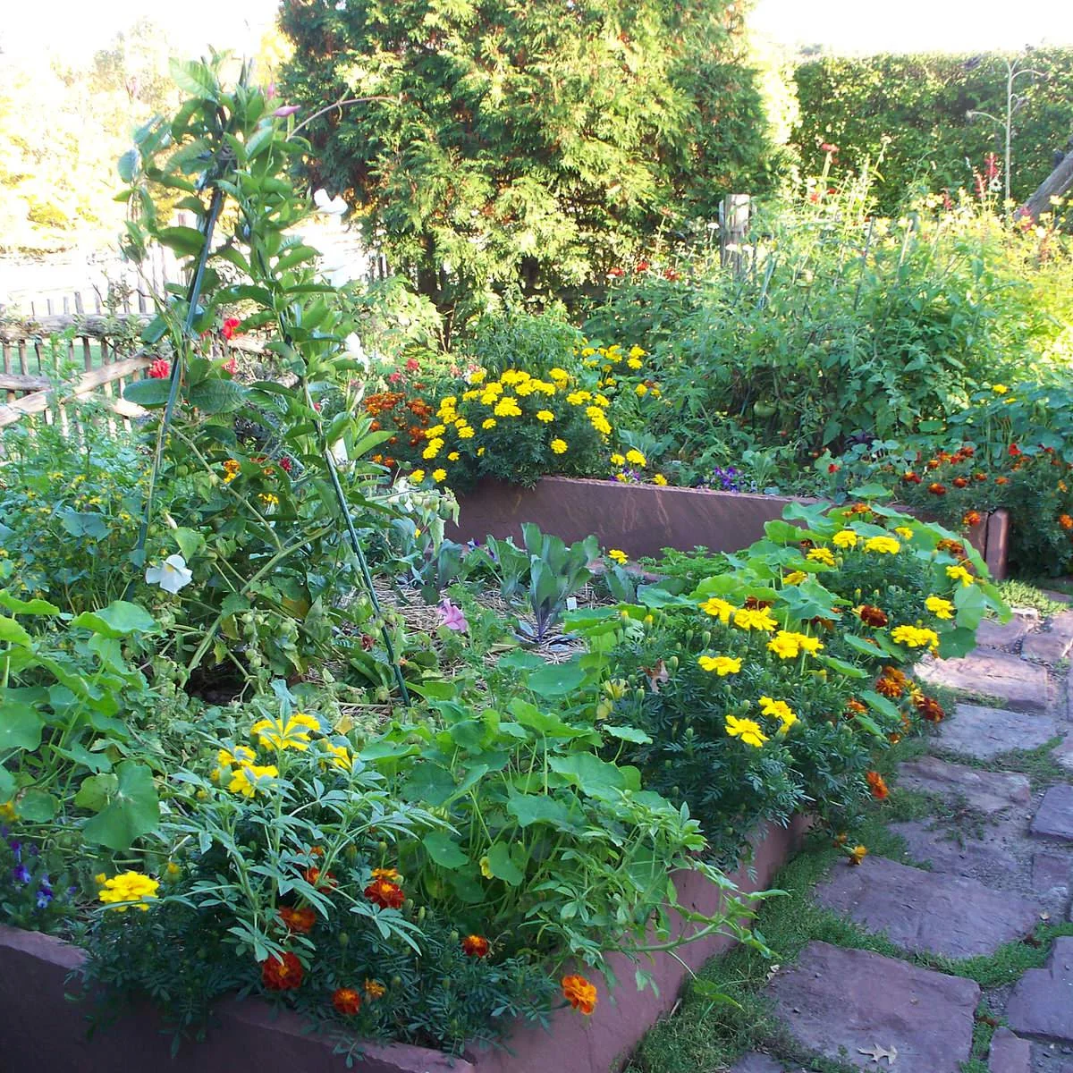 Yellow and orange flowers mixed with vegetables and climbing supports in stone-edged garden beds.