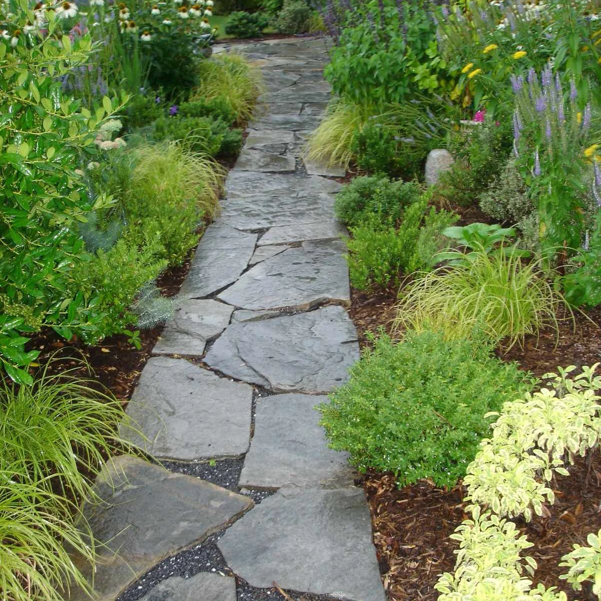 An irregular stone path passes between dense green foliage, fine yellow-green grass and small purple and white flowers.