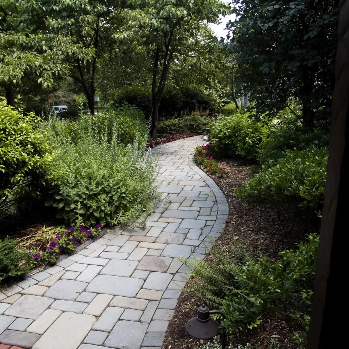 A pale path curves through a shaded entrance garden with a mature tree, broad-leaved shrubs and mulched beds.
