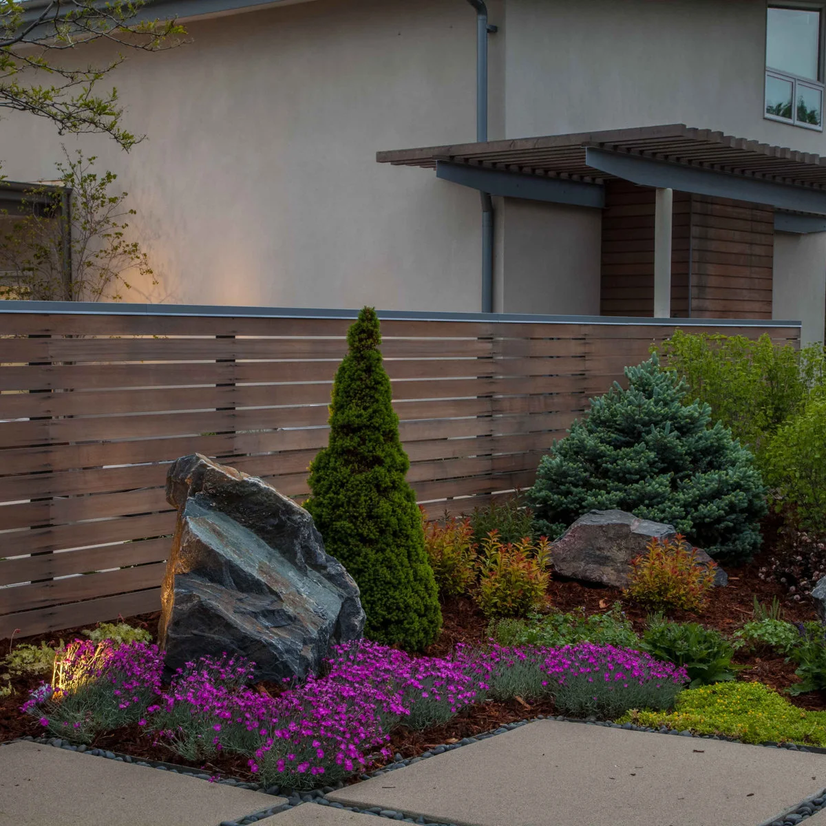 A tall conical evergreen and rounded blue-gray shrub stand among rocks and pink groundcover in front of a horizontal wood fence.