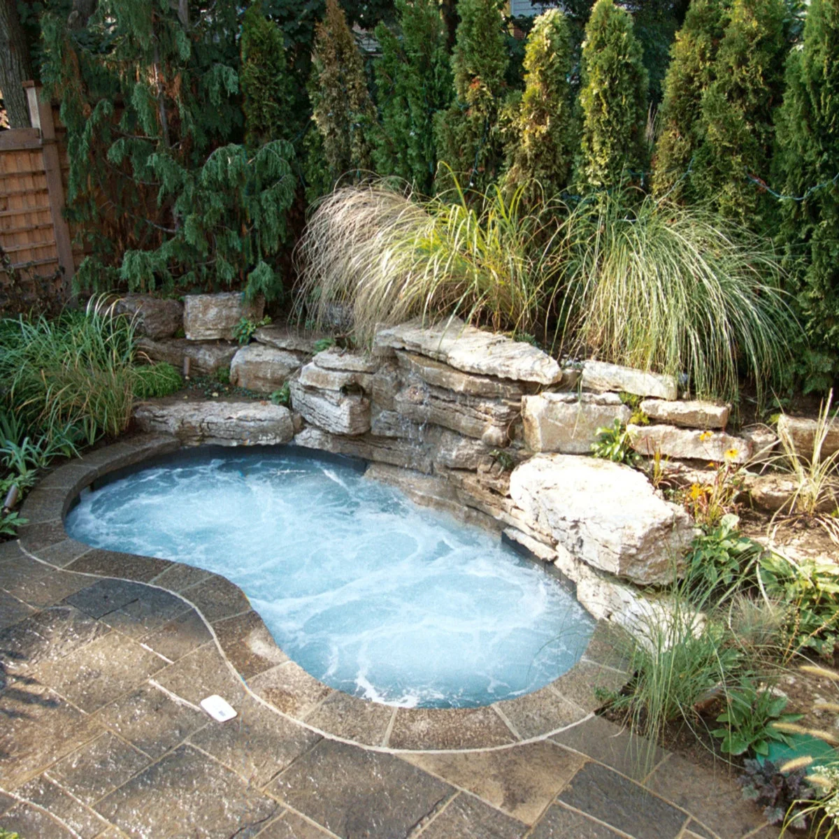 A compact curved plunge pool has dark water, a rock feature, surrounding paving and dense green screening.