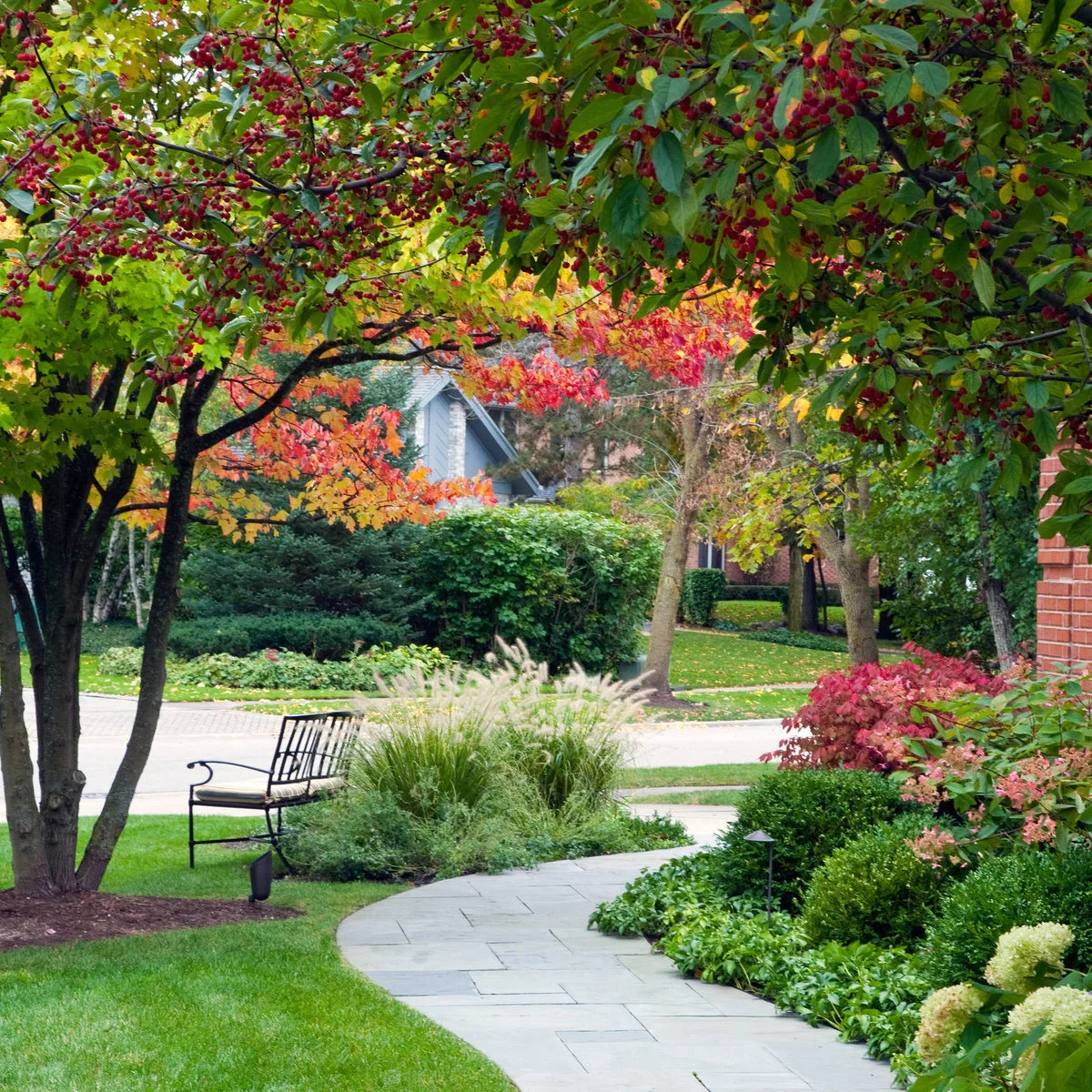 A bench sits beneath a small tree beside a curved pale path, feathery grass and clipped green shrubs.