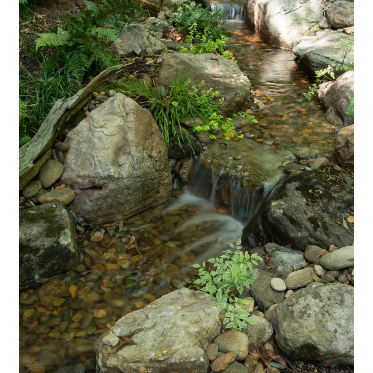A close view of a small woodland-style cascade with a broad spill stone, rounded pebbles, larger rocks, driftwood and ferns.