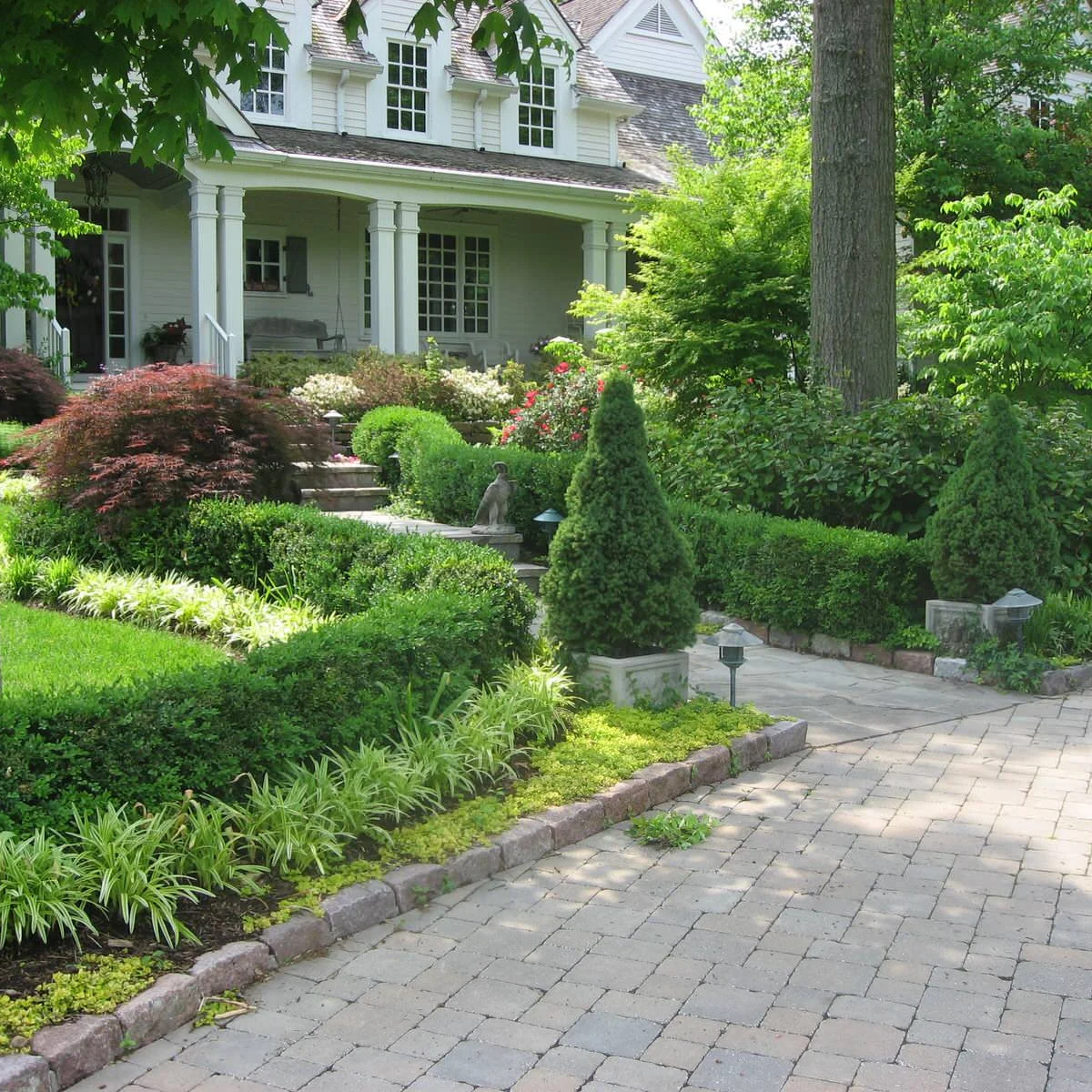 A front garden with clipped hedges, conical evergreens, low foliage and steps leading to a white porch.