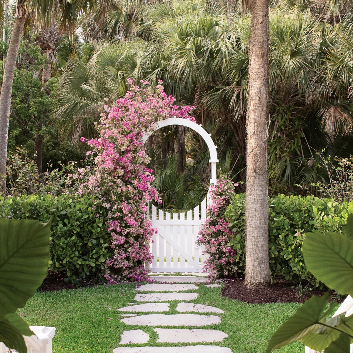 A white gate and circular-topped arbor covered with pink flowers, with a stepping path, clipped hedge and palms behind.