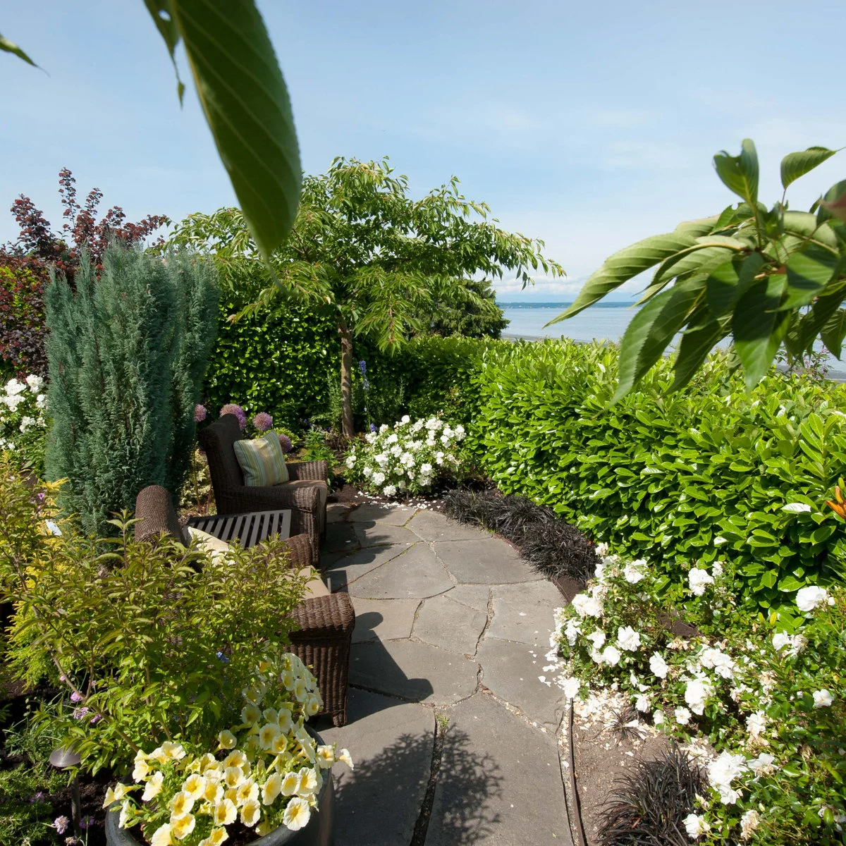 Two dark woven chairs and a small slatted table sit on irregular paving between dense planting with a distant water view.