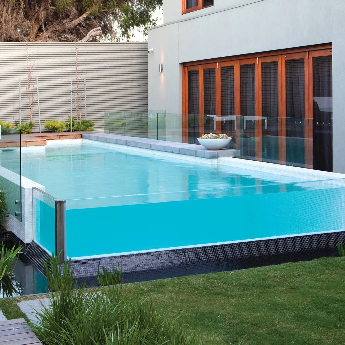 Custom raised pool with a transparent front wall, pale coping and clear fencing beside a house and lawn.