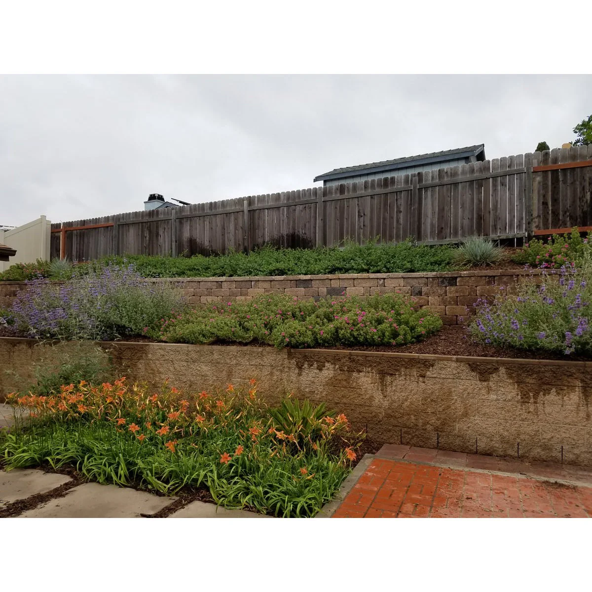 Two retaining walls support bands of flowers and shrubs below a timber boundary fence.