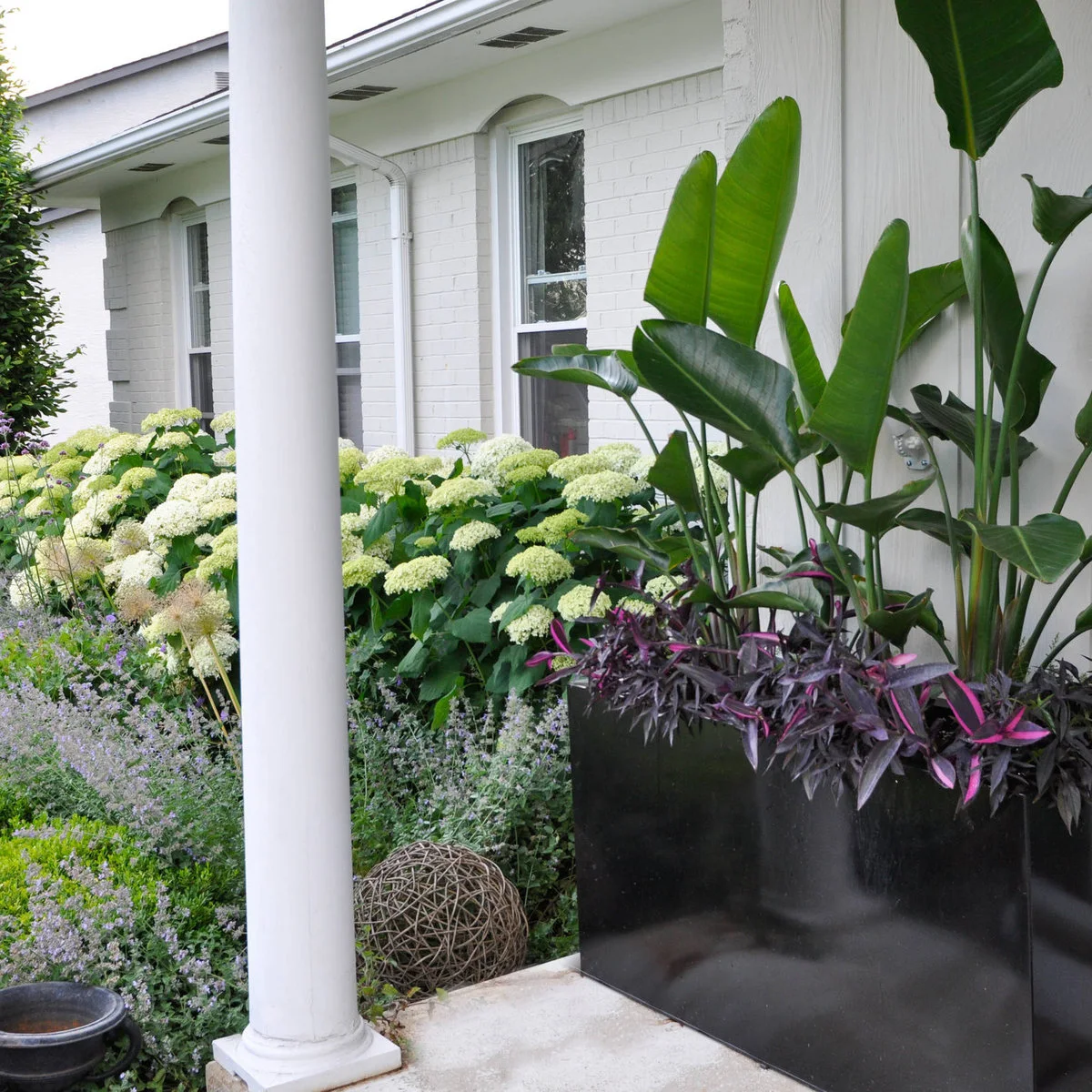 White-flowered shrubs beside a white brick porch, behind a large dark planter filled with green leaves and trailing purple flowers.