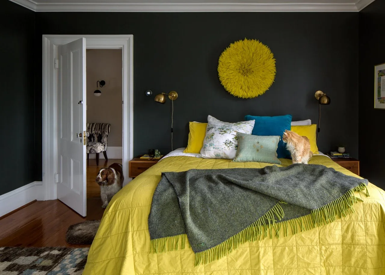 Yellow bedding and a round yellow wall ornament contrast with charcoal walls, blue cushions and a green throw, with a cat on the bed.