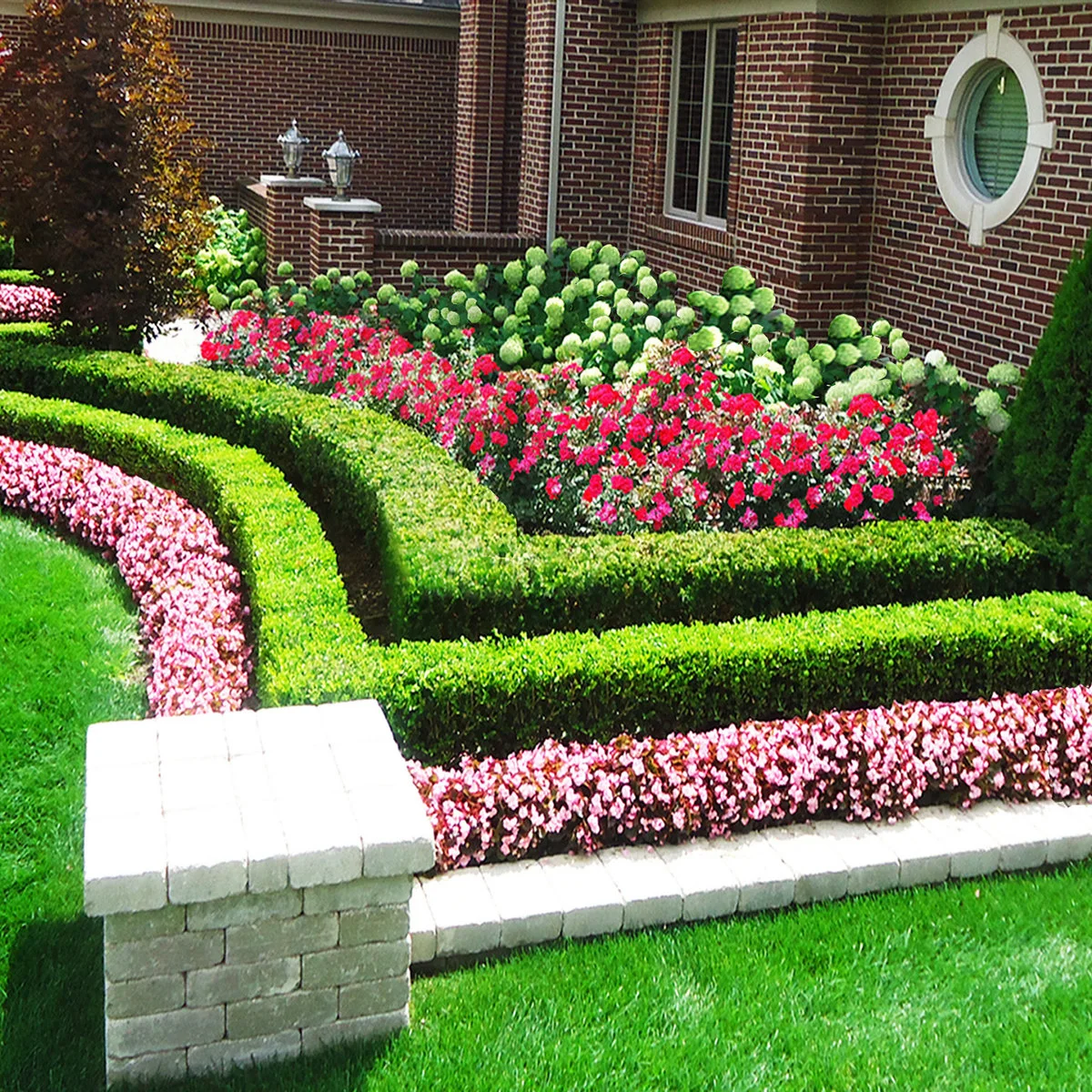 Pale low blocks, pink flowers and clipped curved hedges form layered borders in front of a brick house.