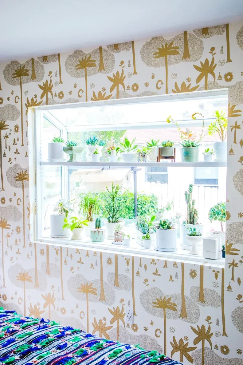Kitchen garden window with rows of small plants and pale yellow botanical wallpaper around it.