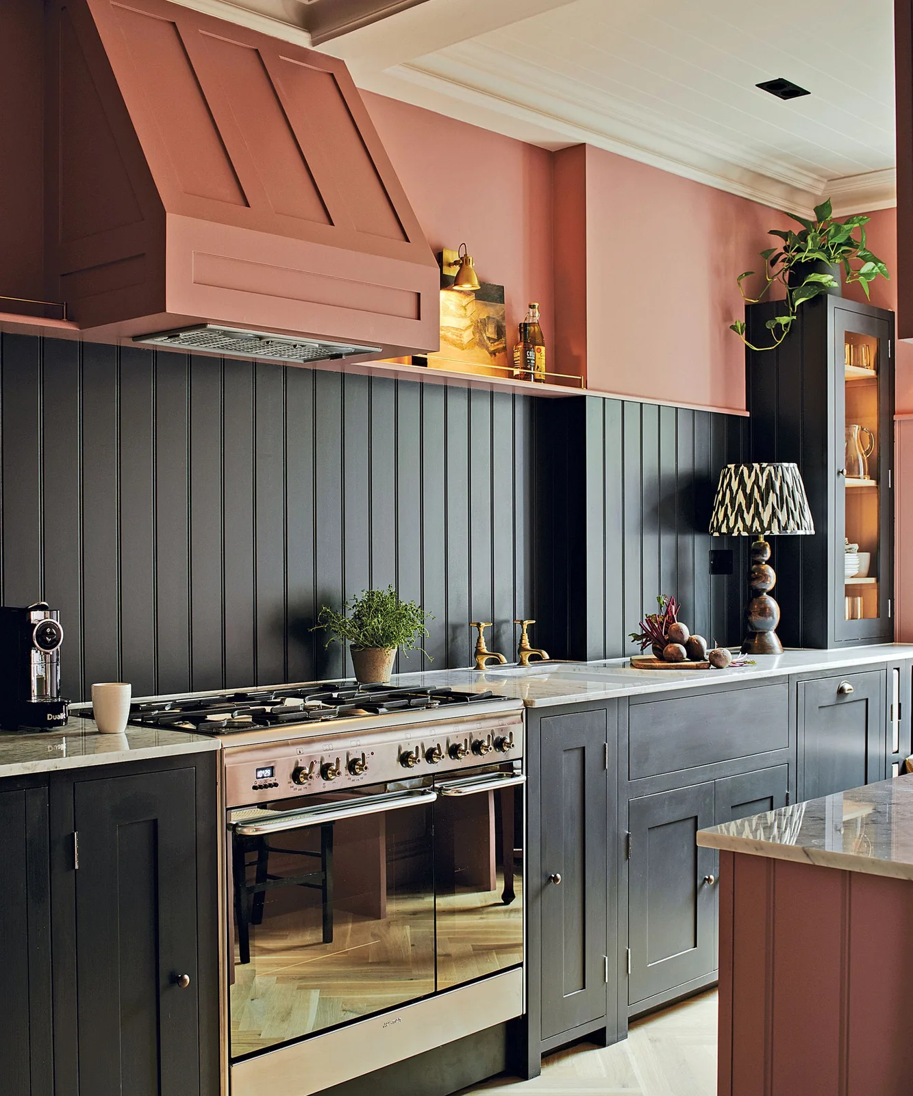 Leafy trailing plant above a tall charcoal glass-front cabinet in a kitchen with pink upper walls and a large pink hood.