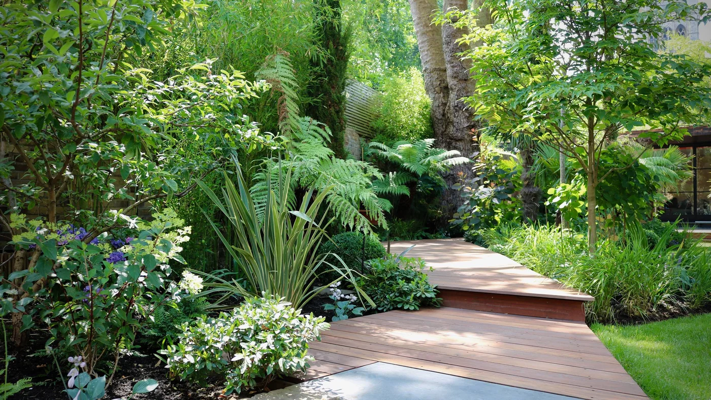 A timber garden walkway changes direction and rises by one step between leafy planted beds