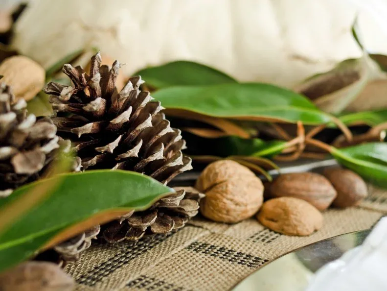 Glossy green leaves, pinecones and whole nuts lie on a textured pale runner beside white crockery