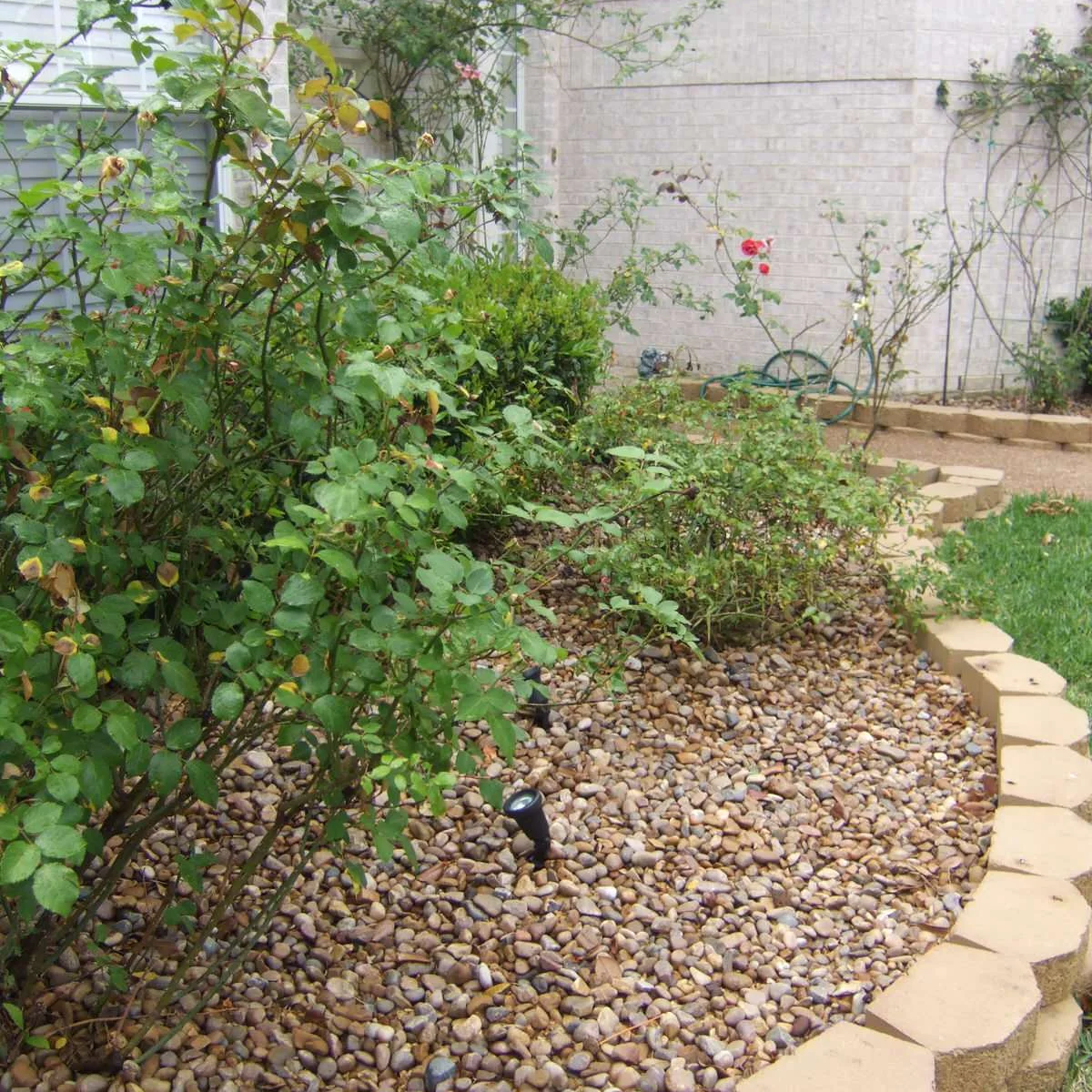 A curved line of tan blocks contains small rounded stones around rose shrubs beside a brick house.