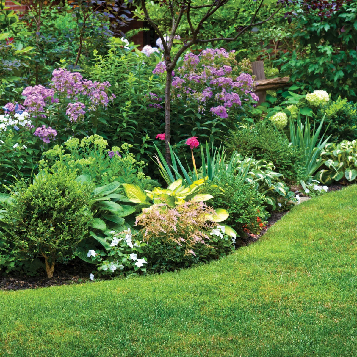 A sweeping lawn edge runs beside layered green foliage, pink and purple flowers and a small tree.