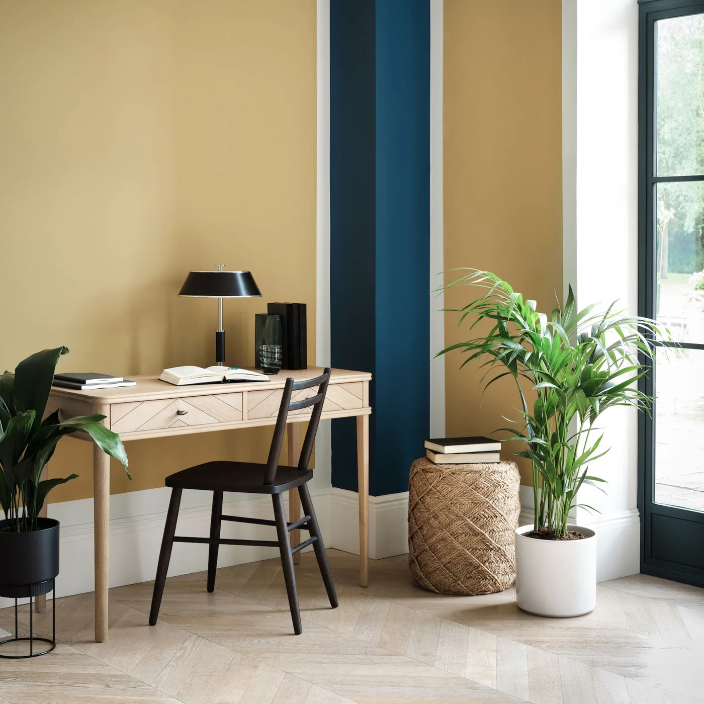 A slim wood desk and black chair stand against yellow and blue walls, framed by a broad-leaf plant on a black stand and feathery foliage in a white floor pot.