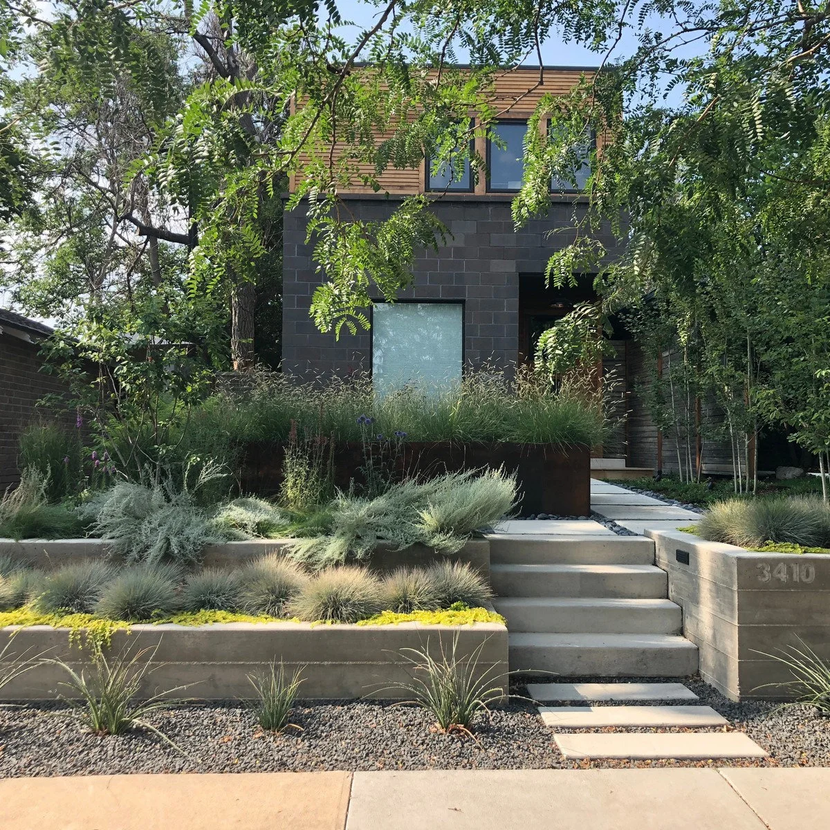 Broad concrete entrance steps bordered by low rectangular retaining walls and planted terraces.