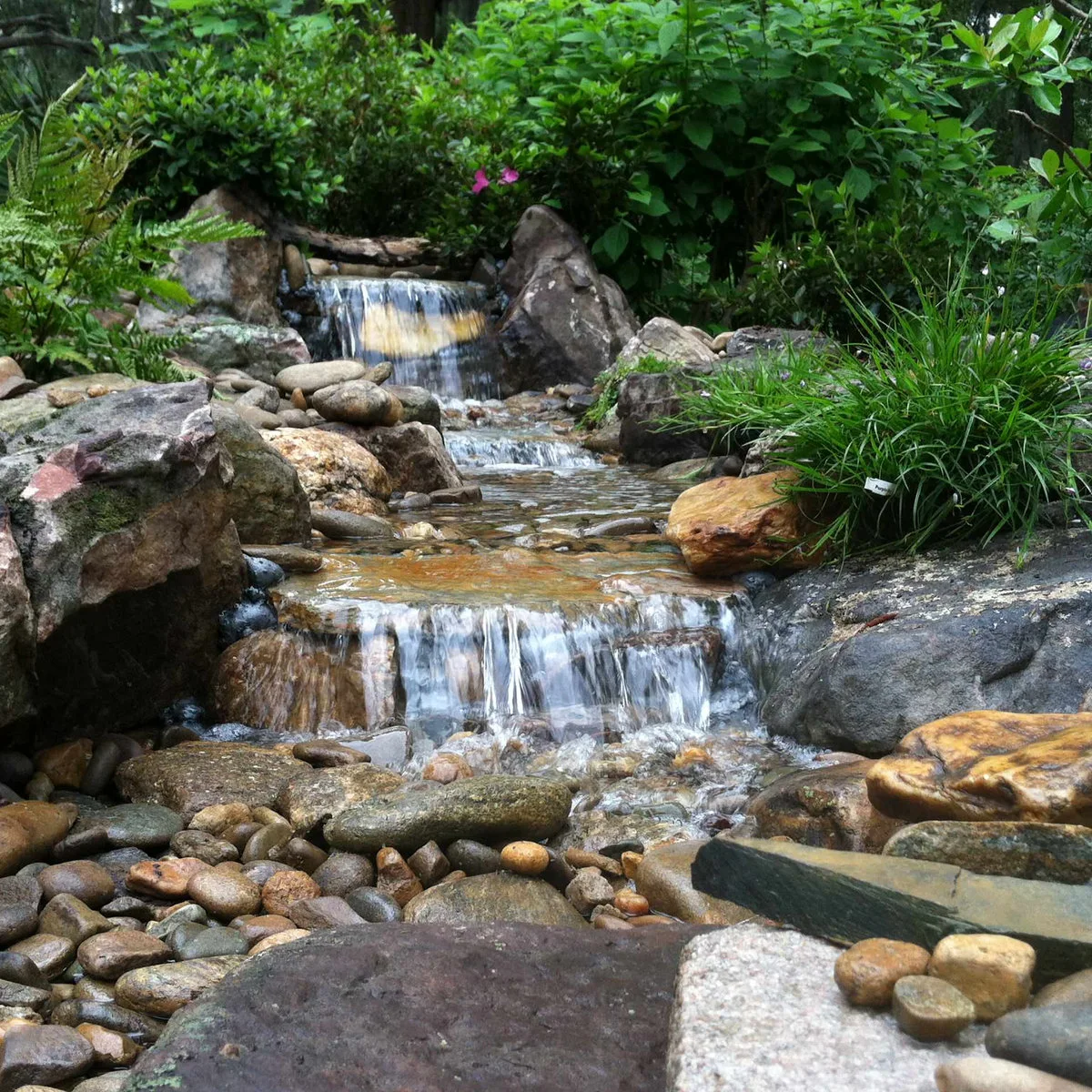 A short rock stream with several small waterfall ledges, warm-toned stones, rounded pebbles and leafy plants at the sides.
