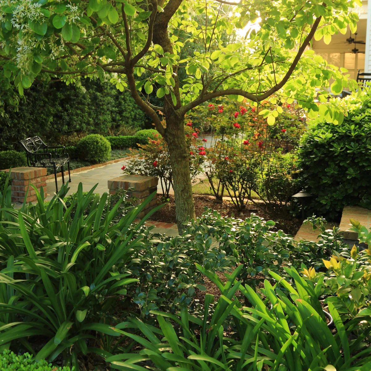 A dark garden chair sits on paving behind layered shrubs, beside brick posts and a leafy tree.