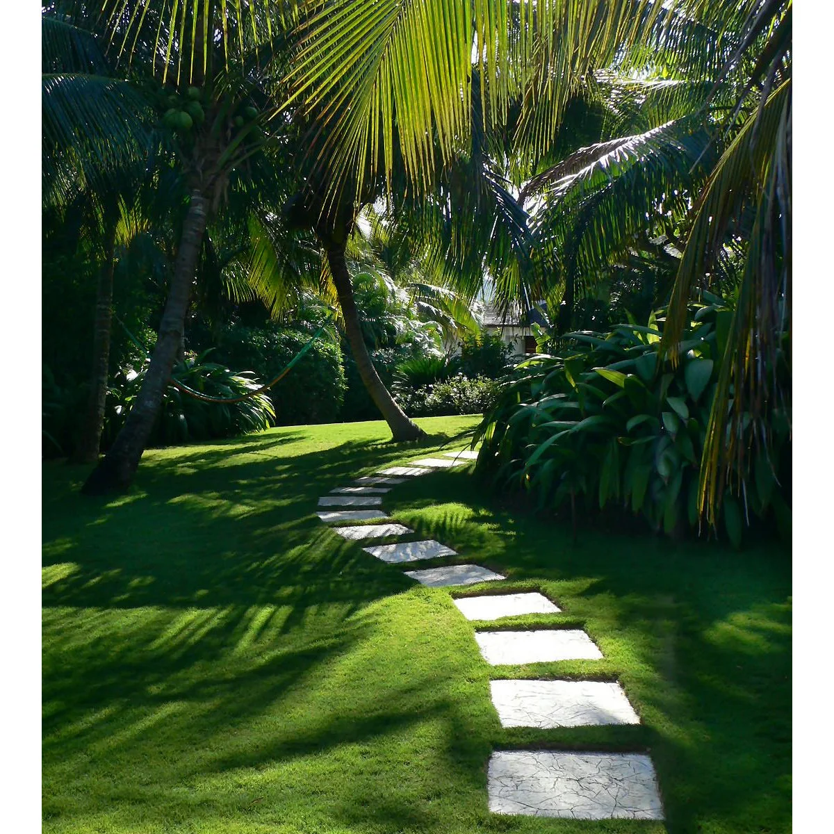A curving line of pale stepping stones through grass beneath palms, with dense green planting and a partly visible hammock.