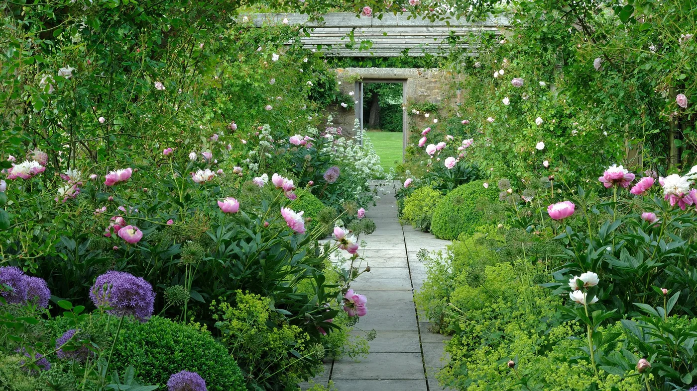 A straight pale garden path passes between full flowering beds beneath a climbing framework