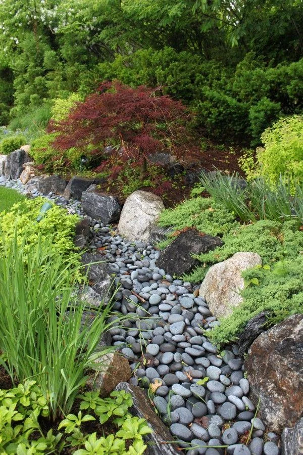 Smooth dark stones form a narrow channel between large boulders, grasses and a small red-leaved tree