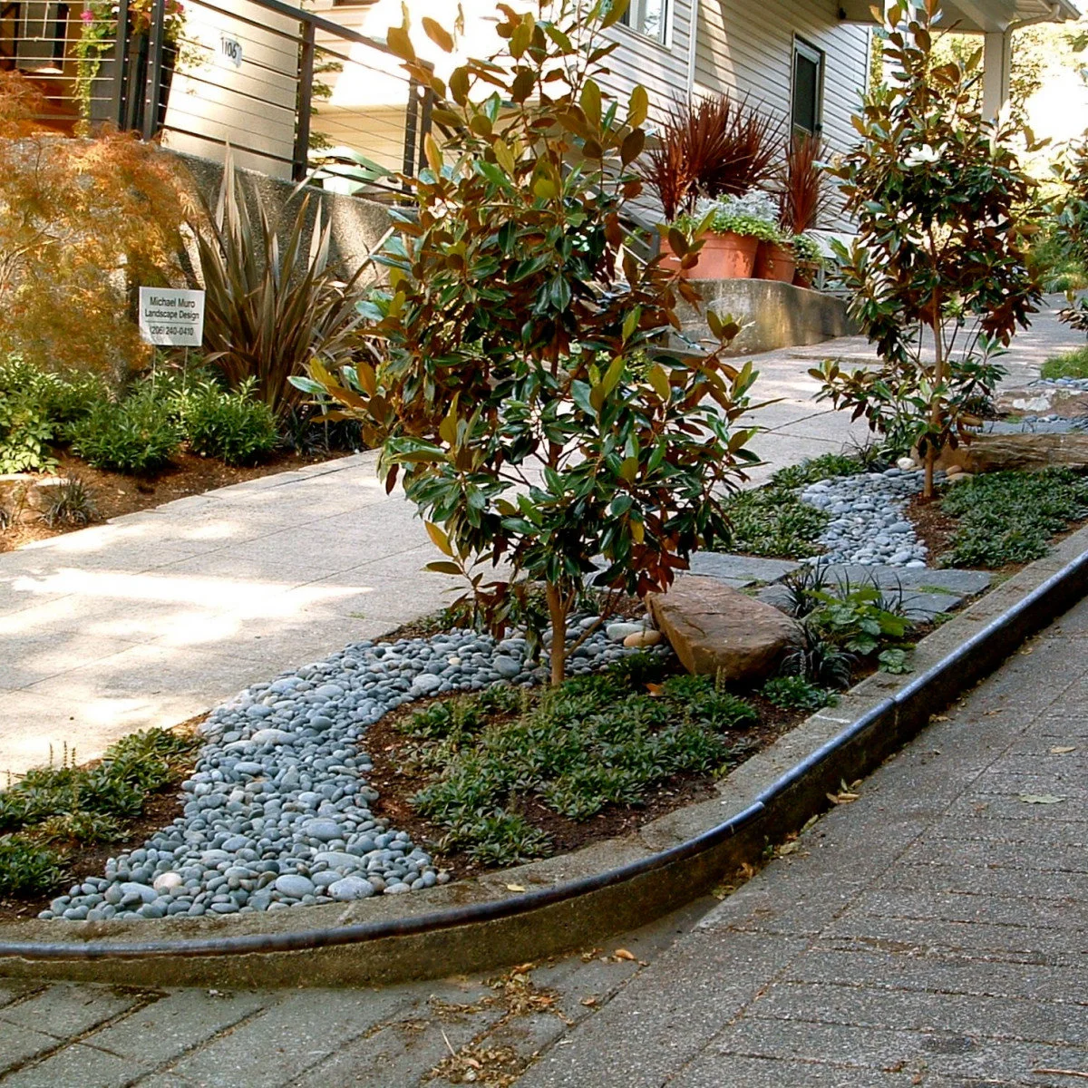 Rounded stones weave through a curbside garden beneath small leafy trees and low green planting.