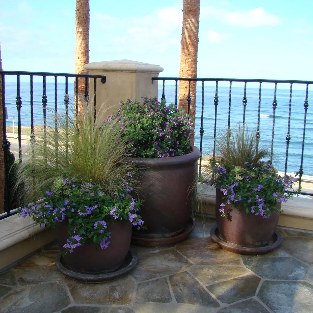 Three dark pots with purple flowers and grasses form a group at a balcony corner