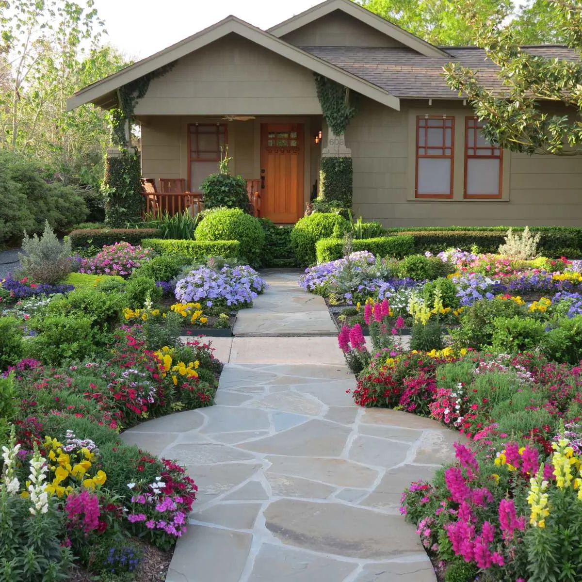 Pink, purple and yellow flowers fill the front of a cottage-style bungalow beside a central path and low clipped hedges.