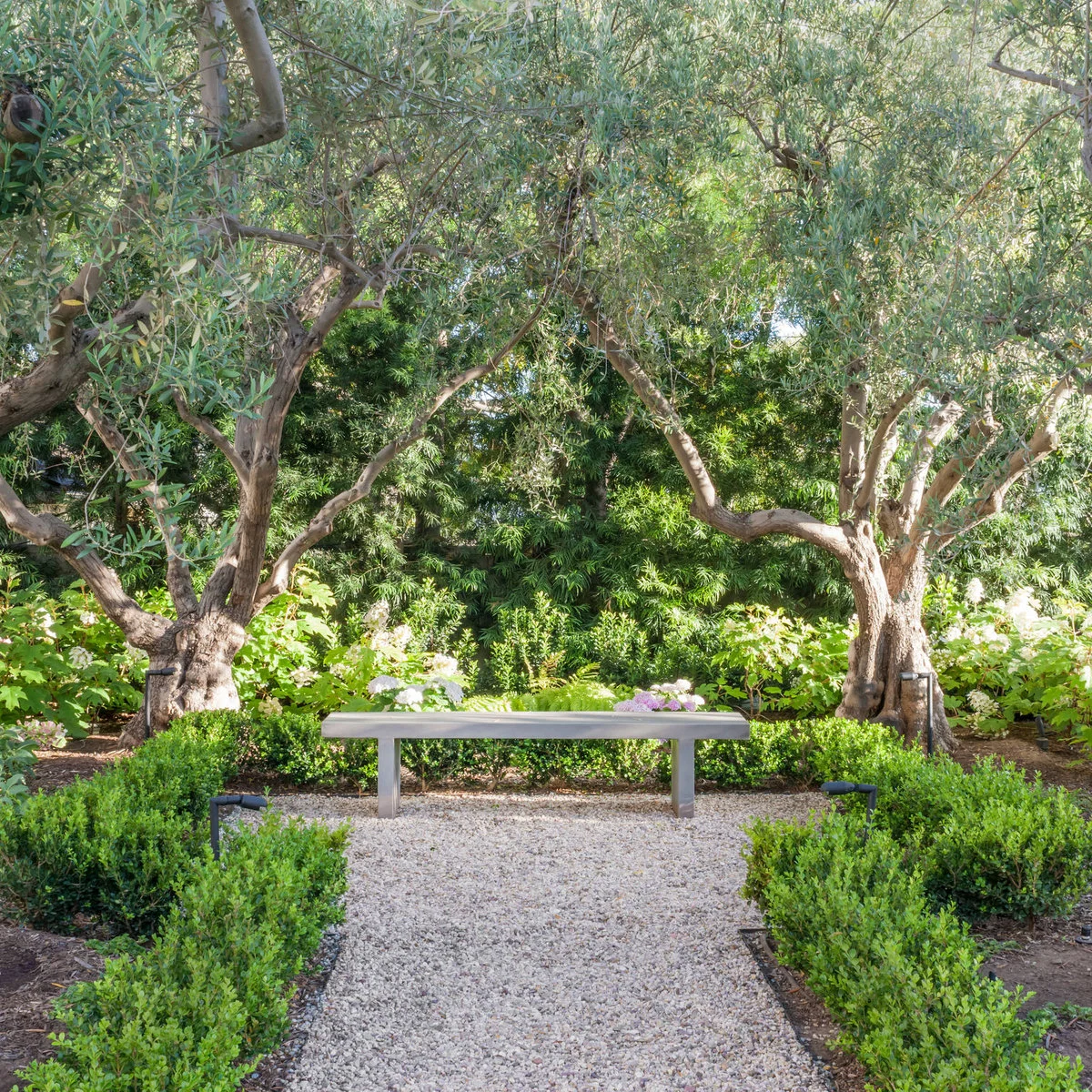 A simple backless bench stands between two trees at the end of a gravel path edged by low clipped planting.