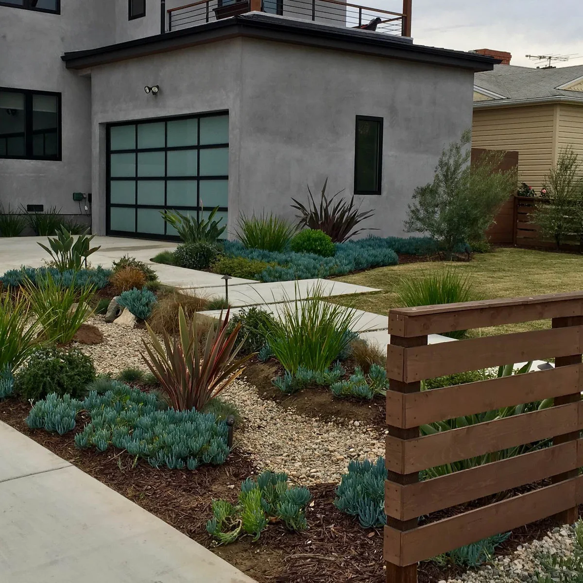 A modern front yard with repeated blue-green groundcover, upright foliage, gravel strips and a small rectangular lawn.