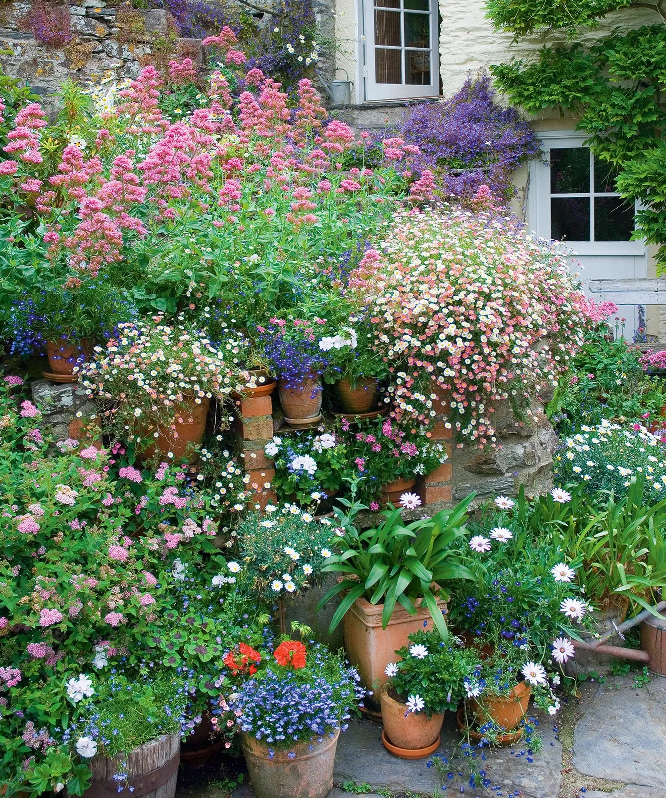 A dense collection of terracotta pots with pink, blue and white flowers stands on stone levels beside a house