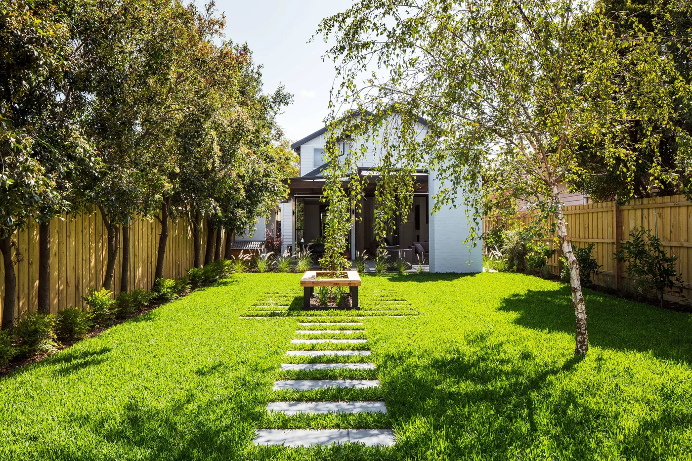 Narrow pale stepping slabs cross a lawn toward a bench built around a garden tree