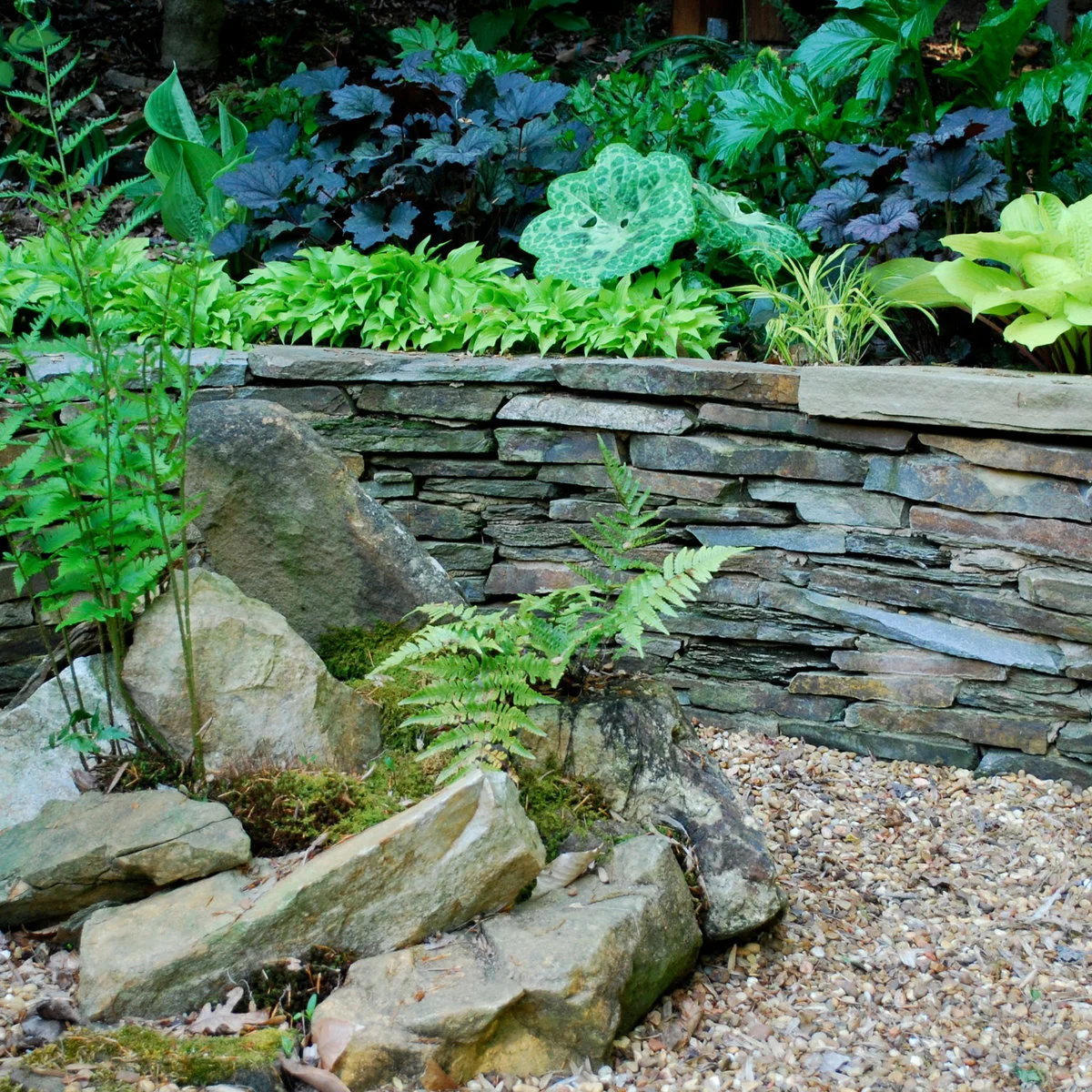 A layered stone retaining wall among boulders, ferns and contrasting green and dark foliage.