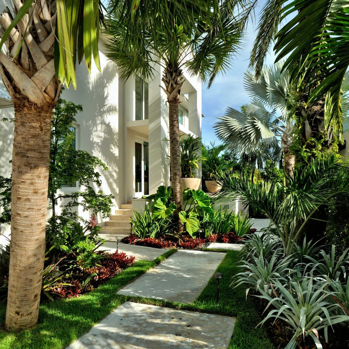 A white modern home with broad pale stepping slabs, palms, red groundcover and large green and silver-blue leaves.