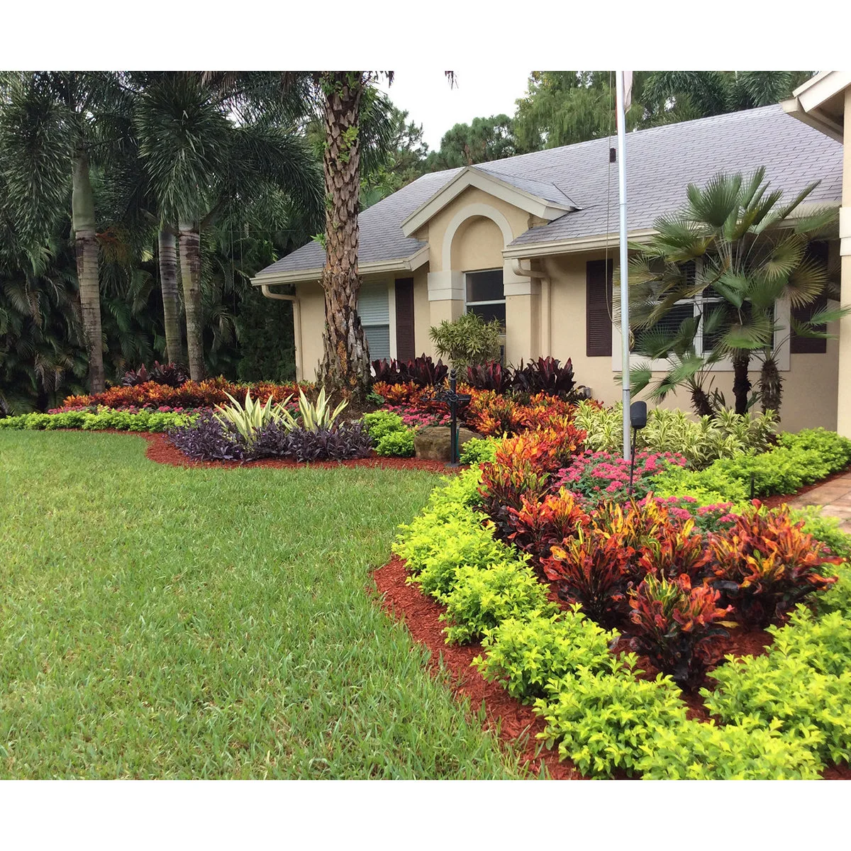 A front garden with a curved lawn edge, red mulch, yellow-green border plants, orange-red foliage and palms near a pale house.