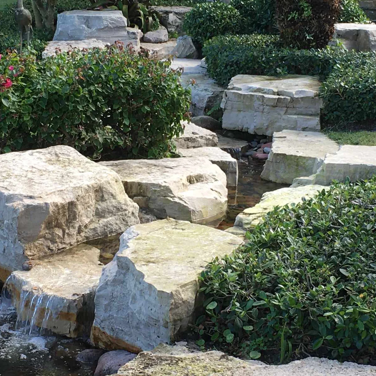 A narrow garden stream with small falls between broad pale rocks, clipped shrubs and a small patch of lawn.