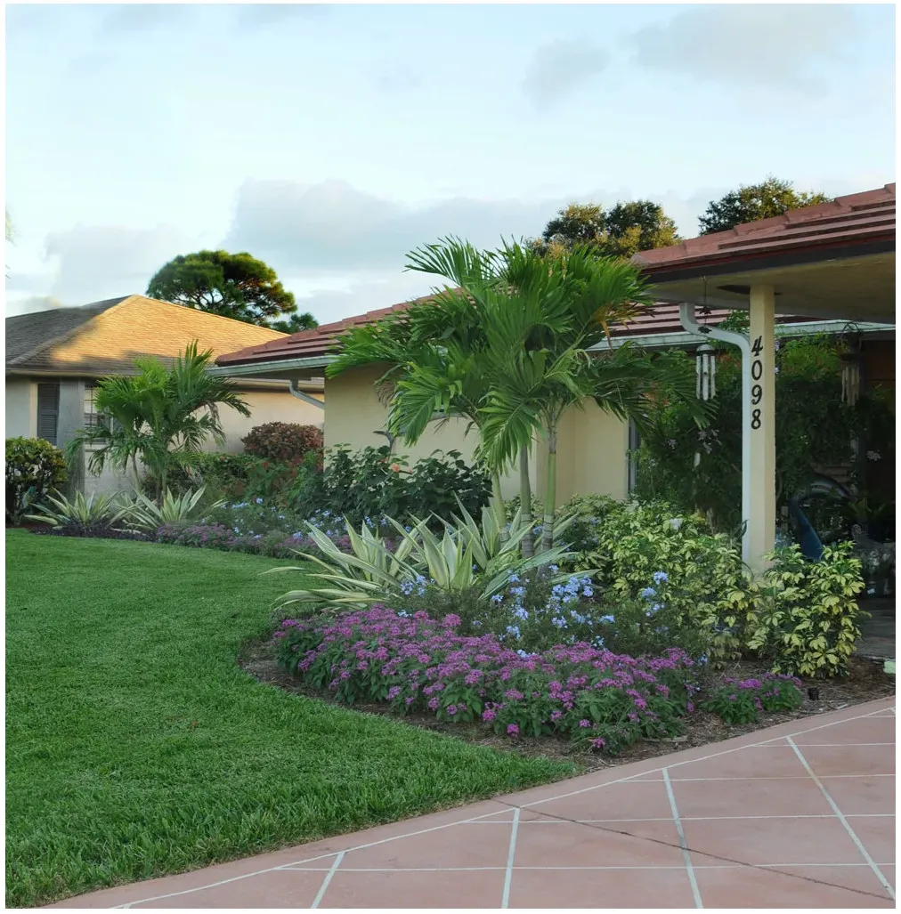 A low cream house with a curved front bed, small palms, variegated leaves, blue and purple flowers and a simple lawn.
