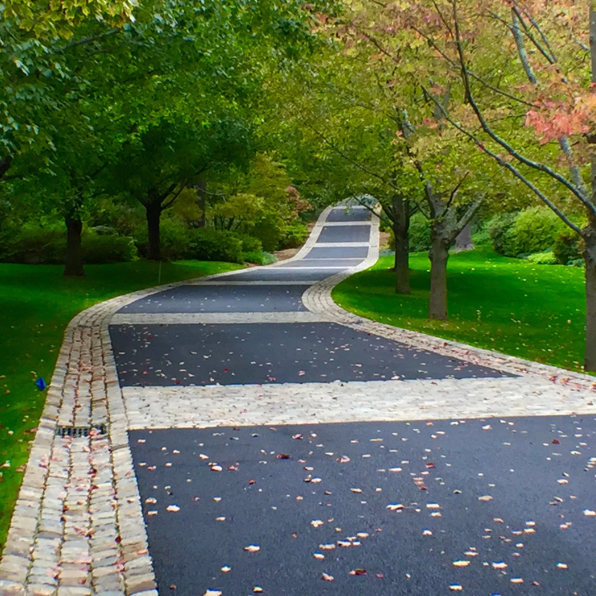 Winding dark driveway with pale block edging and cross bands between mature trees and lawn.