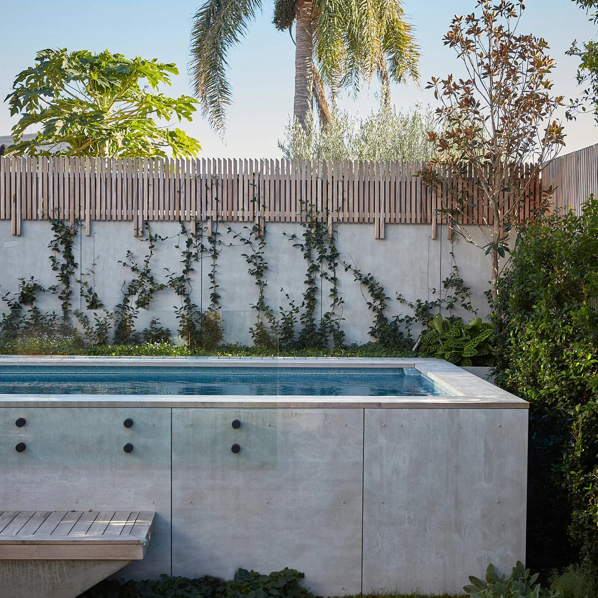 Custom raised rectangular pool with a pale exterior, clear barrier panels and a planted wall behind it.