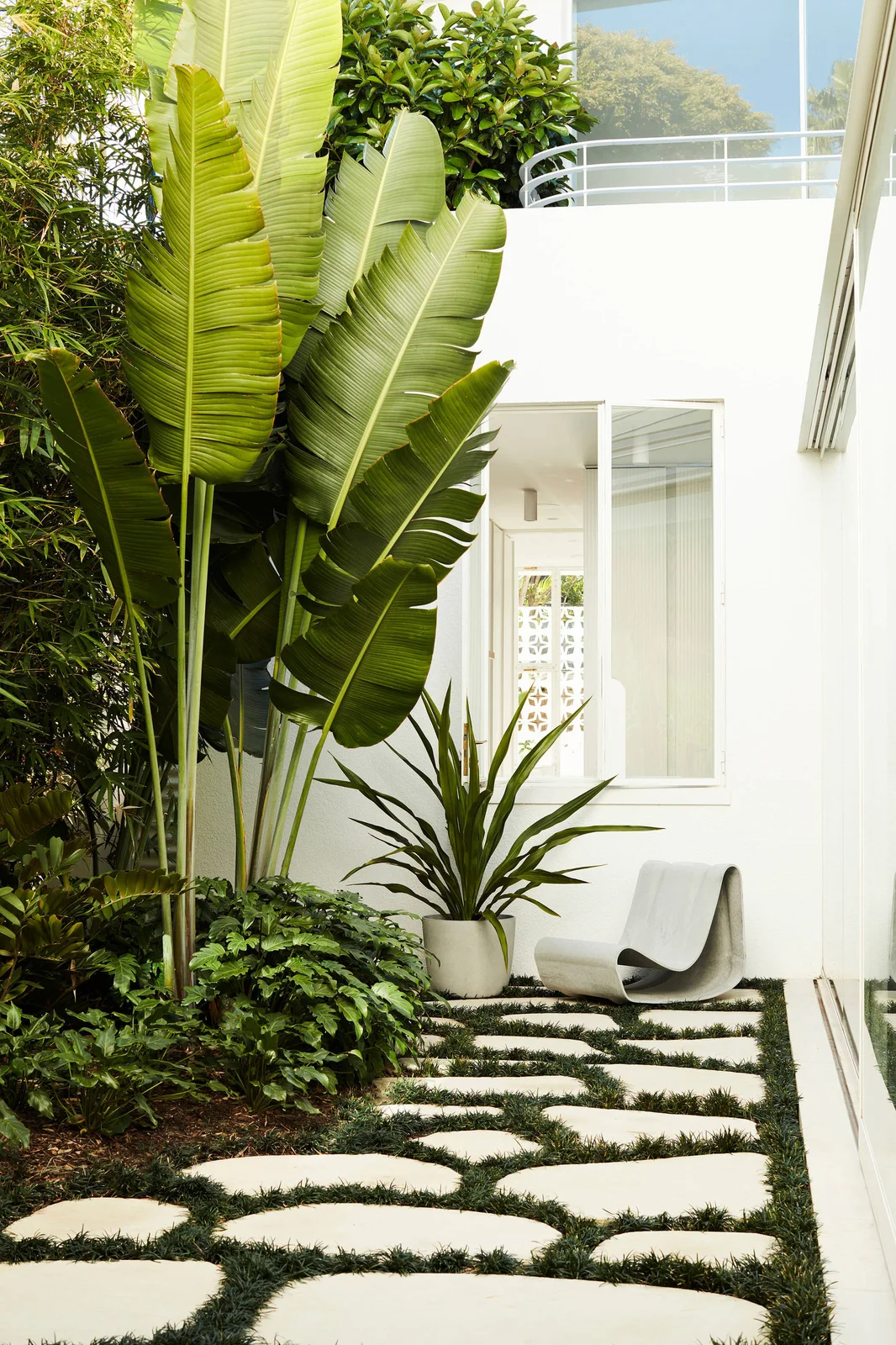 Broad irregular pale slabs lead through dark low planting toward a sculptural chair in a small courtyard