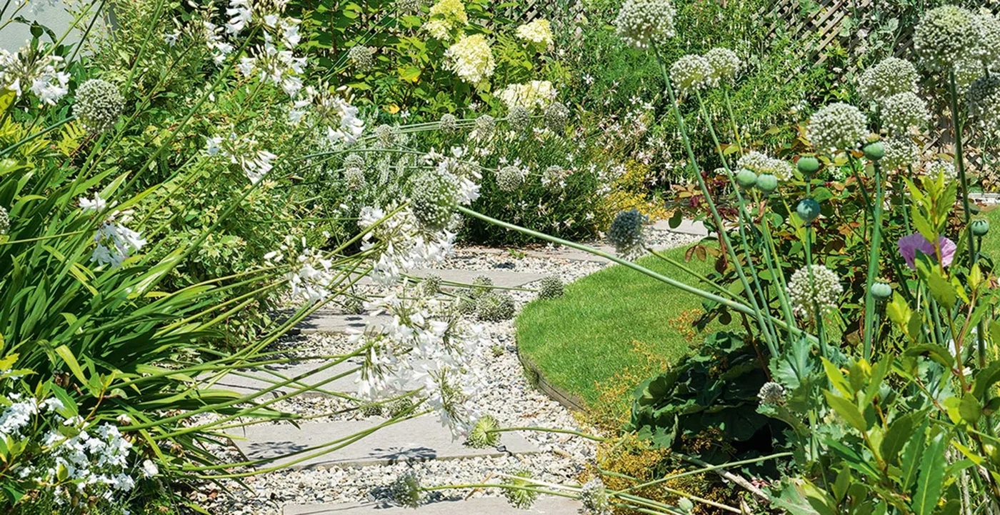 Pale stepping slabs cross light gravel beside a curved lawn and tall white flowers