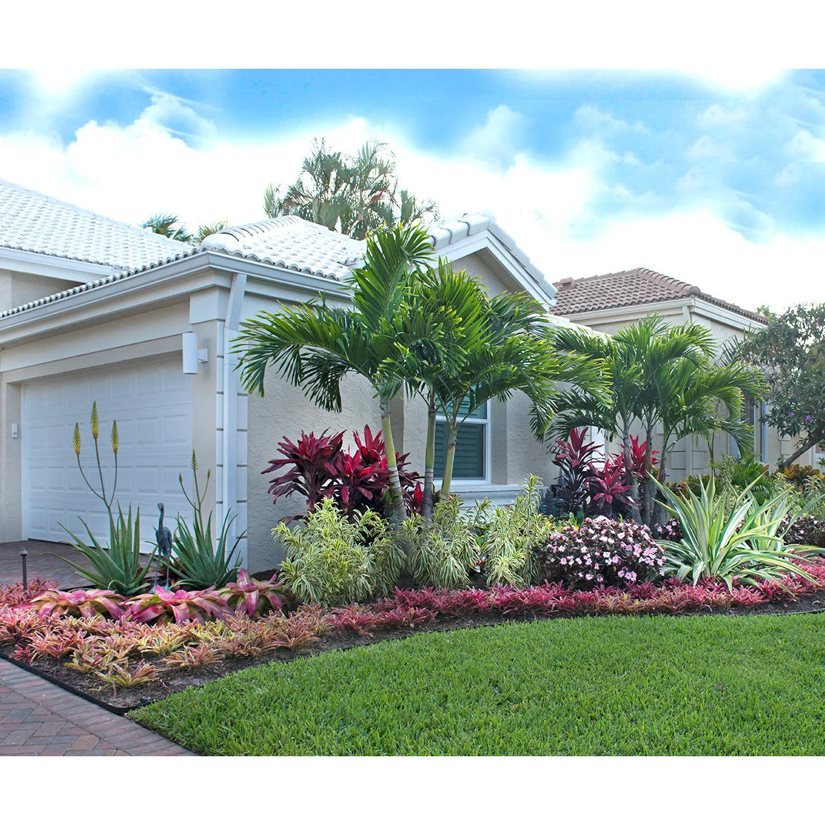 A Palm Beach Gardens front bed with striped green rosettes, pink flowers, red foliage, small palms and a pale house.