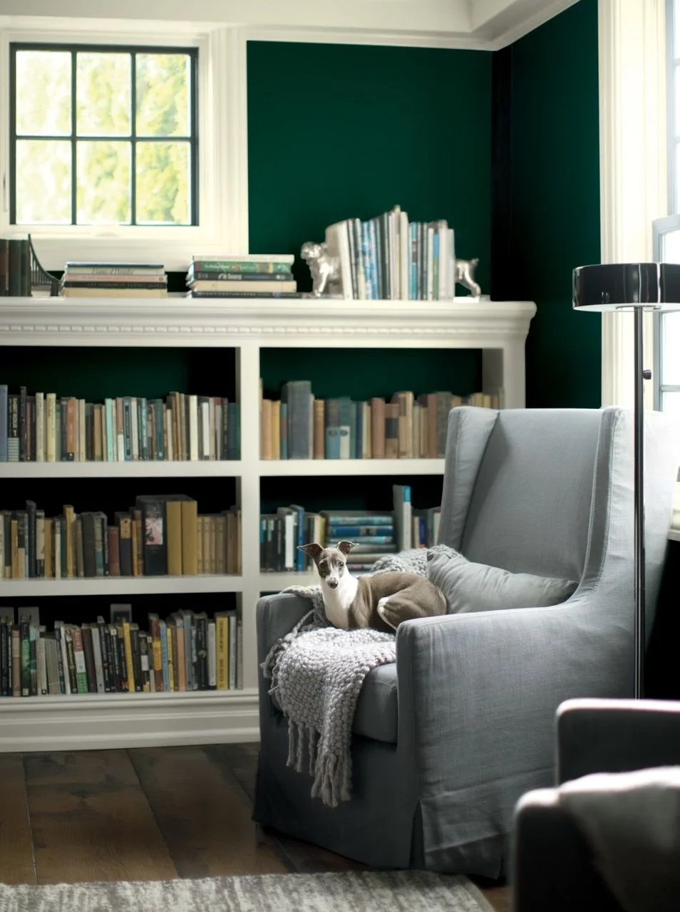 Deep green walls frame pale bookshelves beside a gray armchair, dark floor lamp and tall window