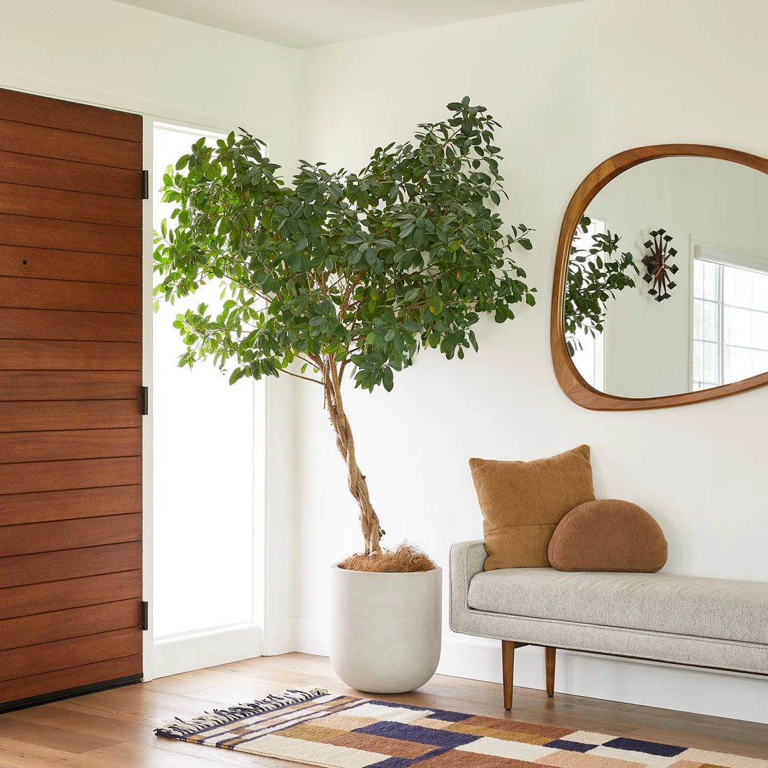 A pale upholstered bench with brown cushions sits below a rounded wood mirror beside a wood front door, tall plant and small geometric rug.